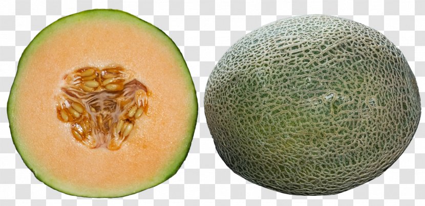 Cantaloupe Honeydew Melon - Cucumber Gourd And Family - Whole Half Transparent PNG