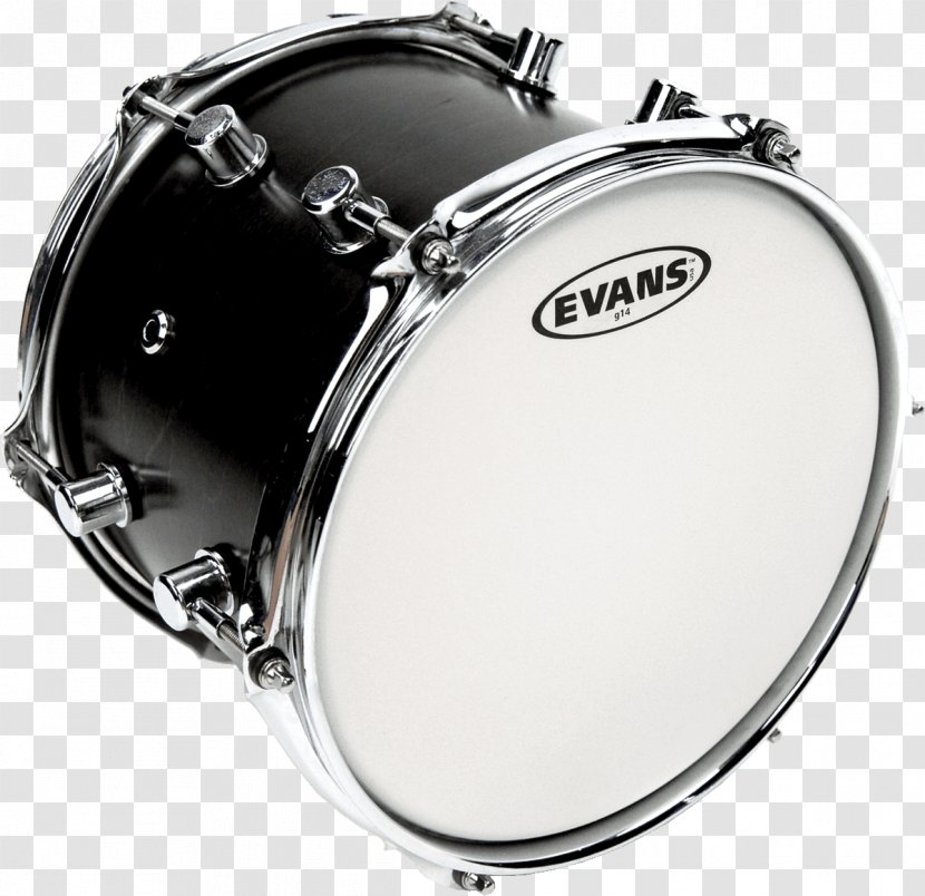Drumhead Evans Snare Drums D'Addario - Flower - Projector Transparent PNG