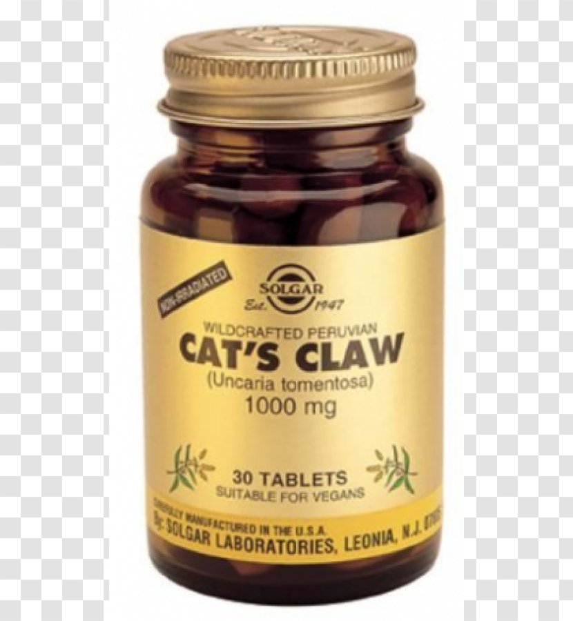 Dietary Supplement Cat's Claw Tablet Capsule - Cat Transparent PNG