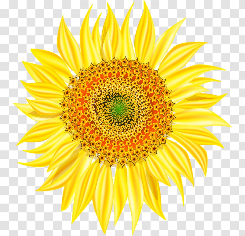 Yellow Sunflowers - Watercolor Painting - Art Transparent PNG
