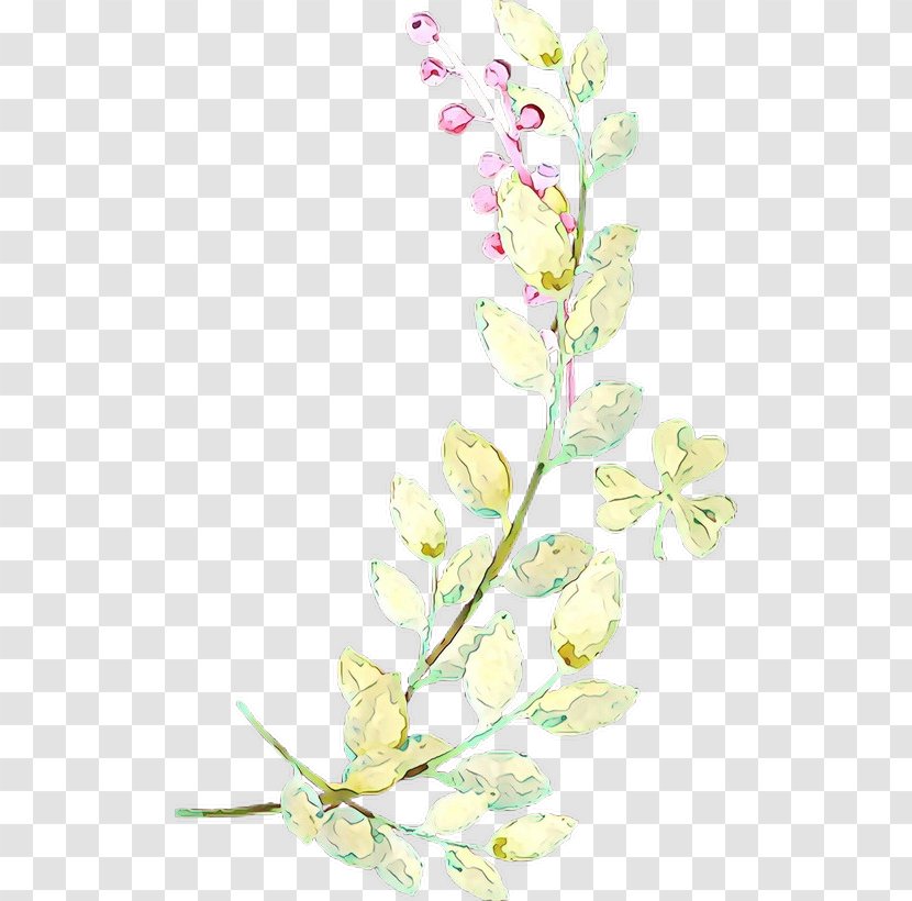 Floral Spring Flowers - Petal - Wildflower Cut Transparent PNG