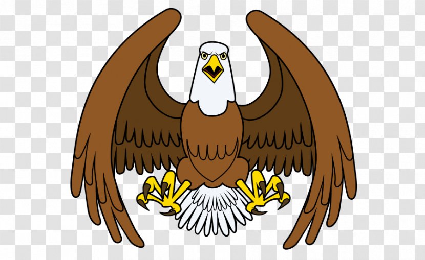 Cartoon Eagle Illustration - Vulture - Vector Transparent PNG