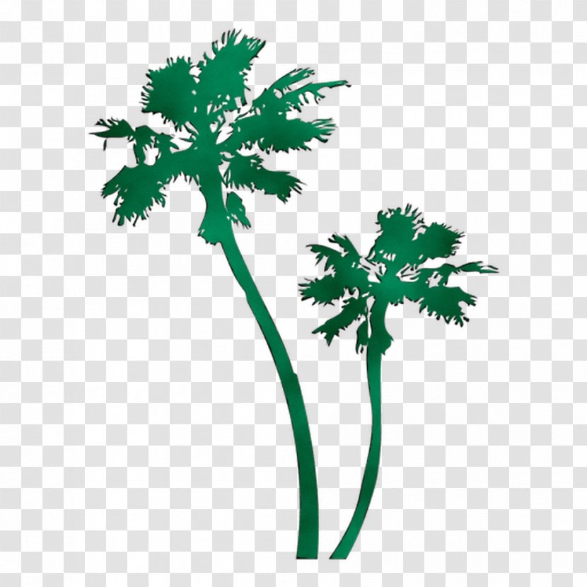 Palm Trees Leaf Greens Plant Stem Flower - Chervil - Herb Transparent PNG