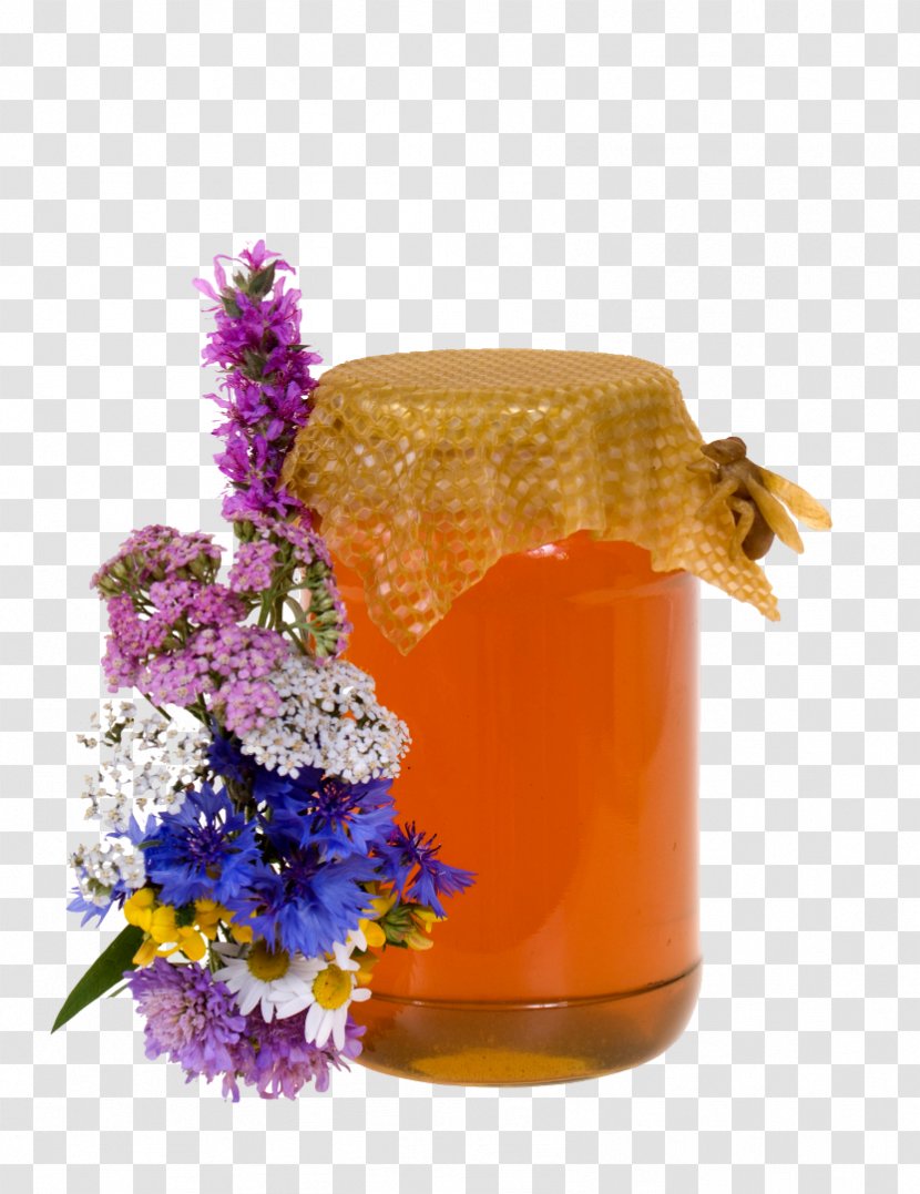 Honey Bee Syrup Flower Photograph - Alamy Transparent PNG