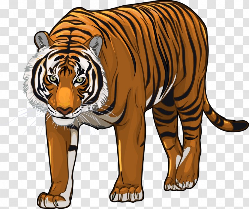 Bengal Tiger Siberian Felidae Cat Lion - Roar Transparent PNG