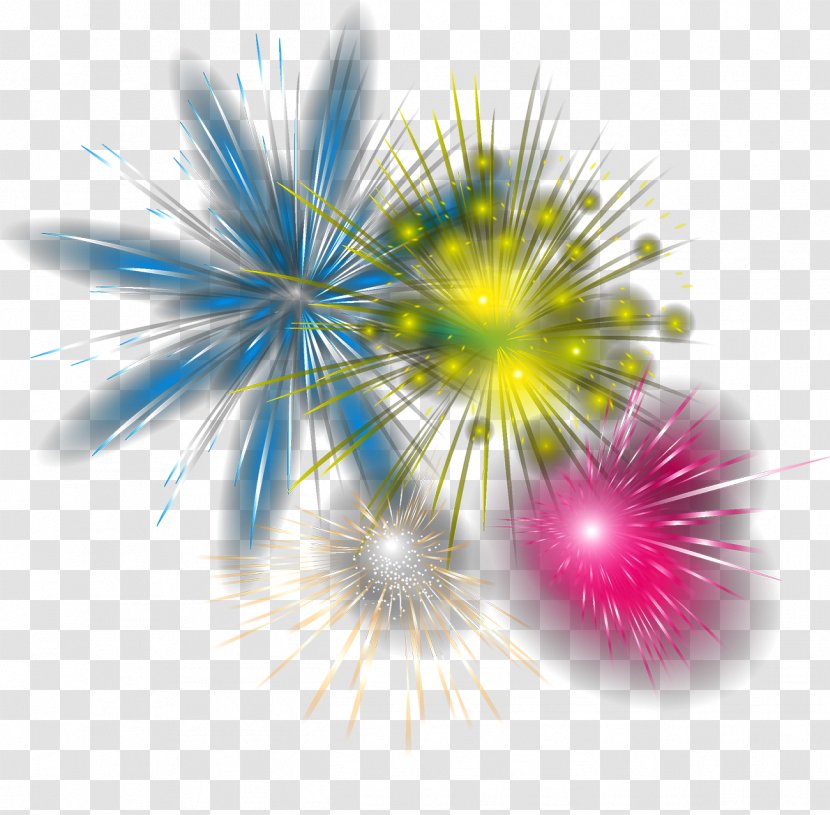 Fireworks - Festival Transparent PNG