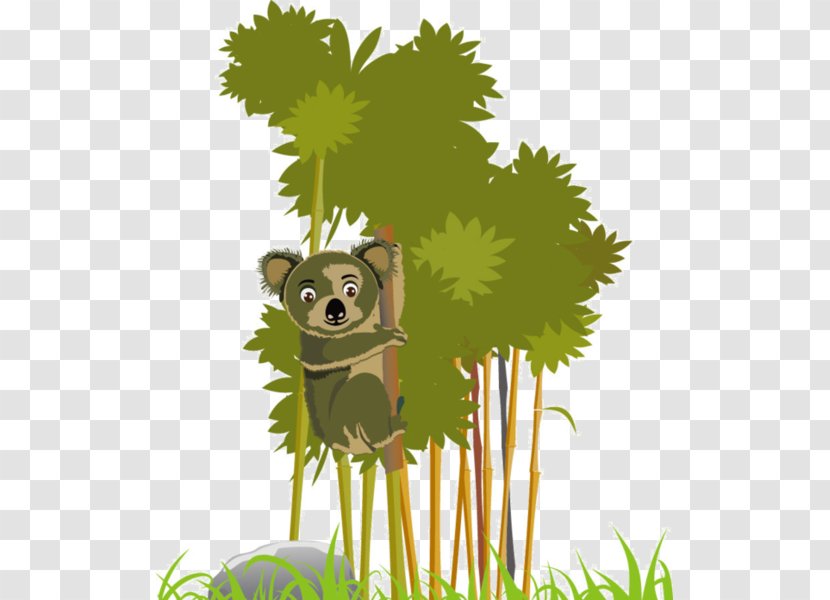 Tree Jungle Arecaceae - Grass - Boar Transparent PNG
