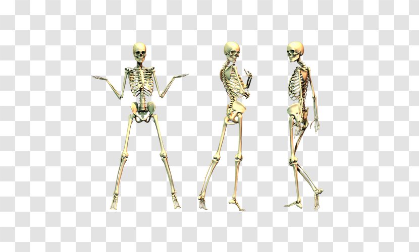 Human Skeleton Clip Art - Yellow - Thriller Transparent PNG