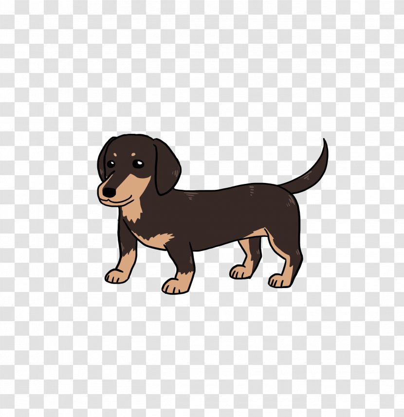 Dachshund Puppy Love Companion Dog Breed Transparent PNG