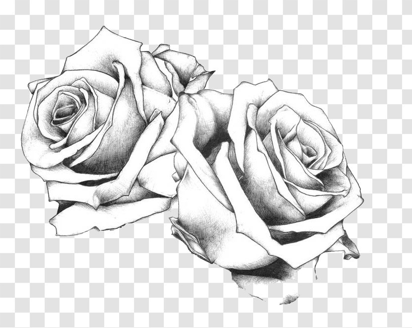 Tattoo Drawing Art Rose Flash - Flower Transparent PNG