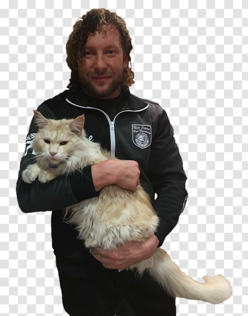 Kenny Omega Cat IWGP Junior Heavyweight Championship Best Of The Super Juniors New Japan Pro-Wrestling - Whiskers Transparent PNG