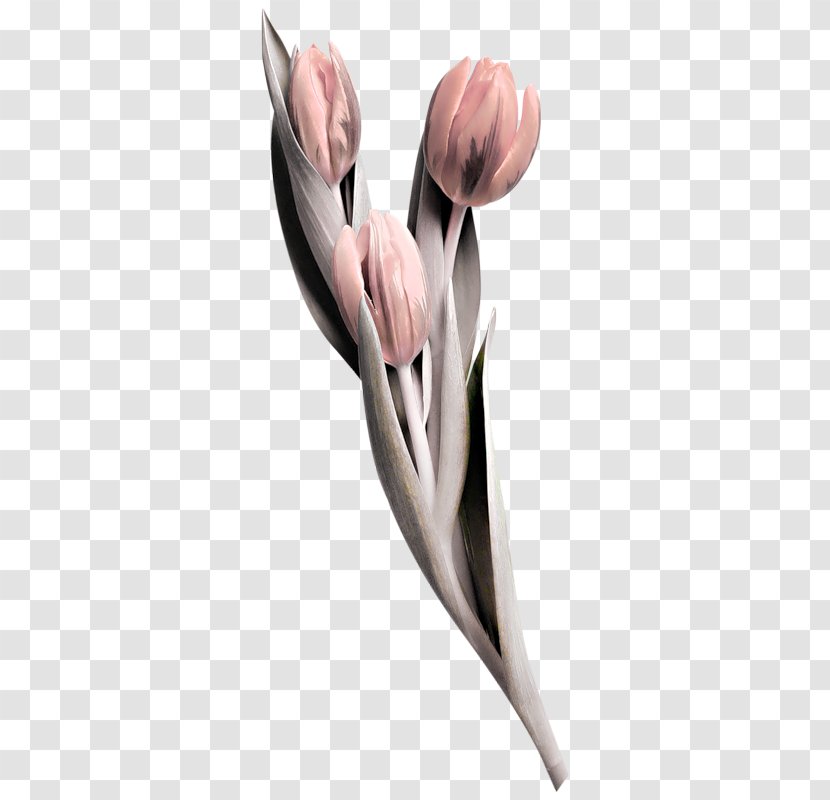 Tattoo Blog Flower - Plant Transparent PNG