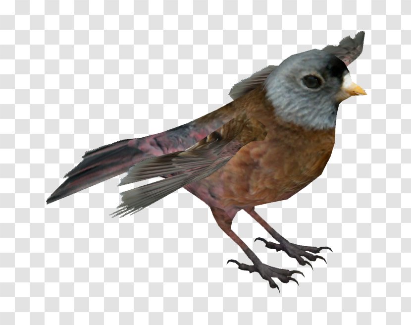 Zoo Tycoon 2 Finches American Sparrows Beak - Language Model - Finch Transparent PNG