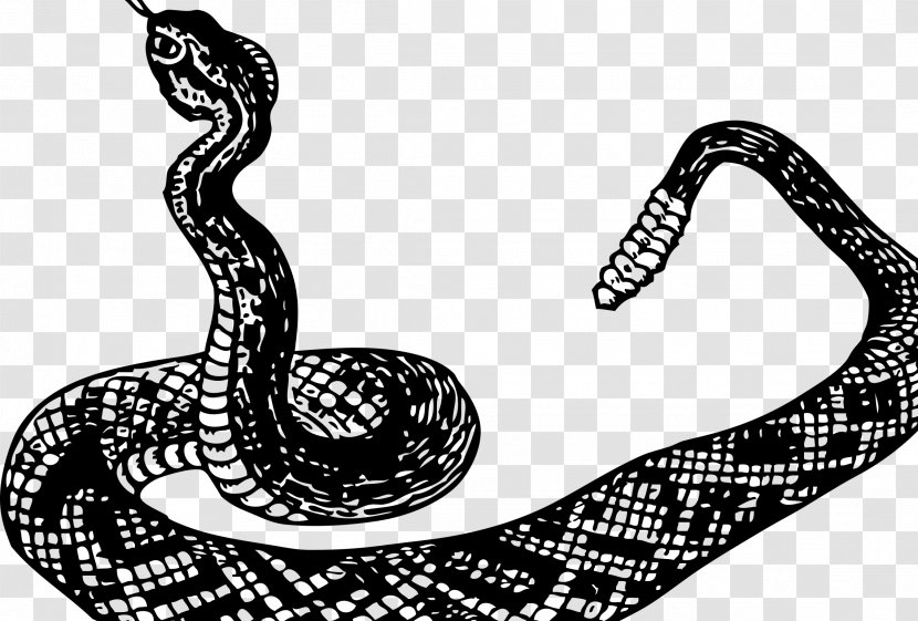 Rattlesnake Boa Constrictor Clip Art - Monochrome - Snake Transparent PNG
