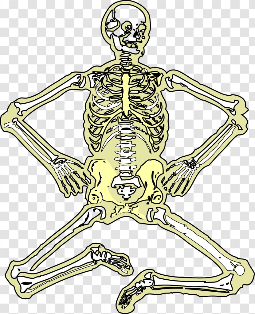 Skeleton Bone Space Science Clip Art Transparent PNG