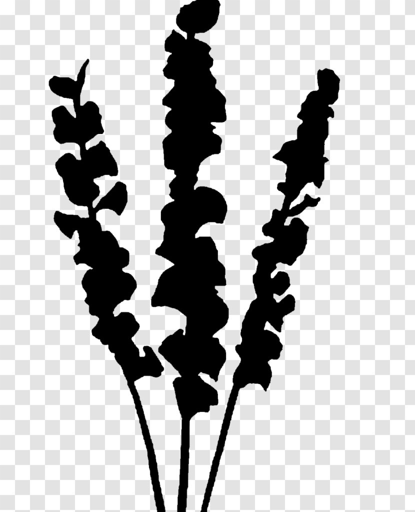 Black & White - Silhouette - M Clip Art Leaf Plant Stem Transparent PNG