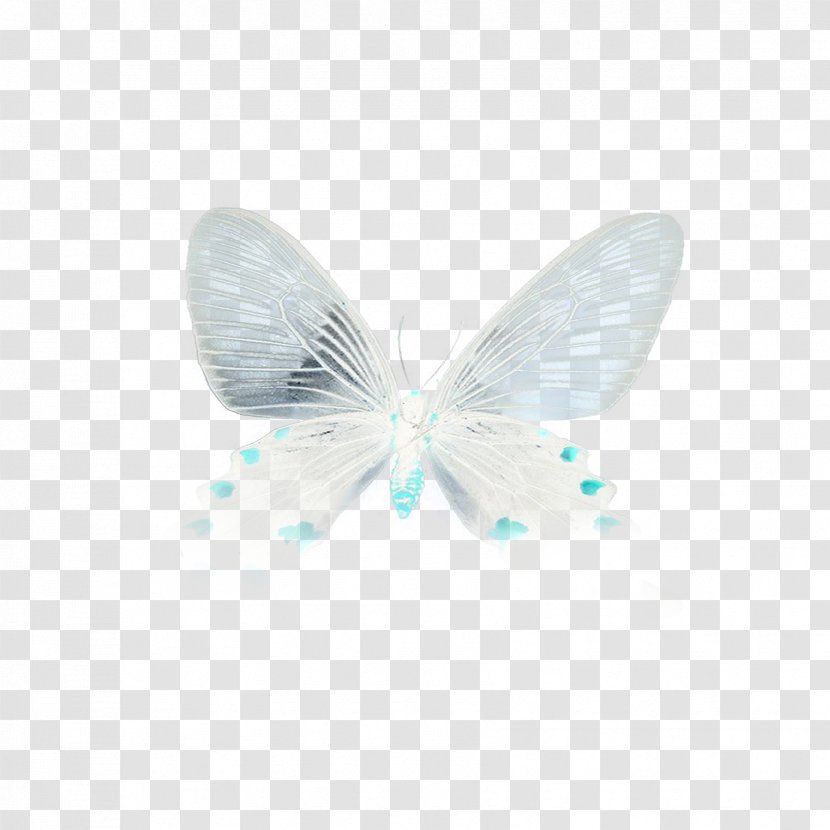 Butterfly Turquoise Microsoft Azure - Floating Transparent PNG