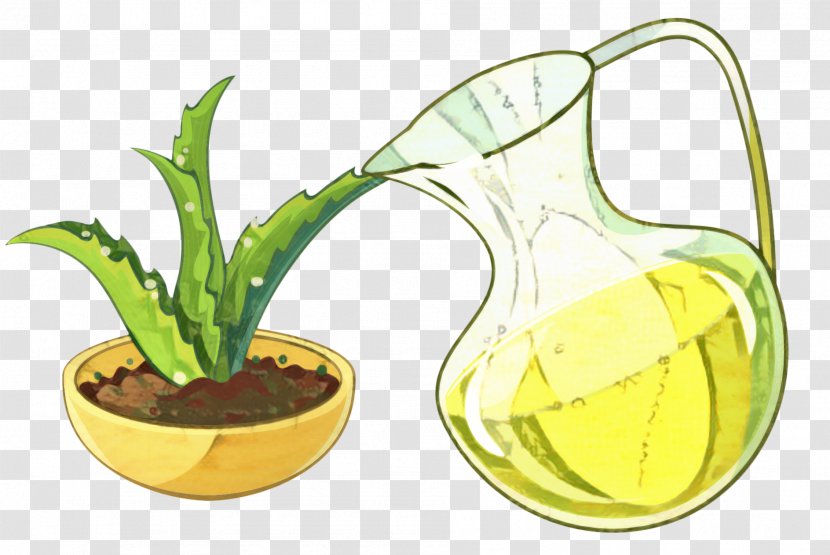 Aloe Vera - Cartoon - Perennial Plant Xanthorrhoeaceae Transparent PNG