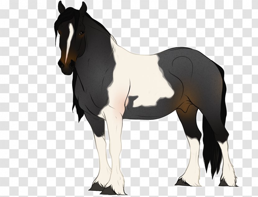 Mustang Foal Stallion Mare Colt Transparent PNG