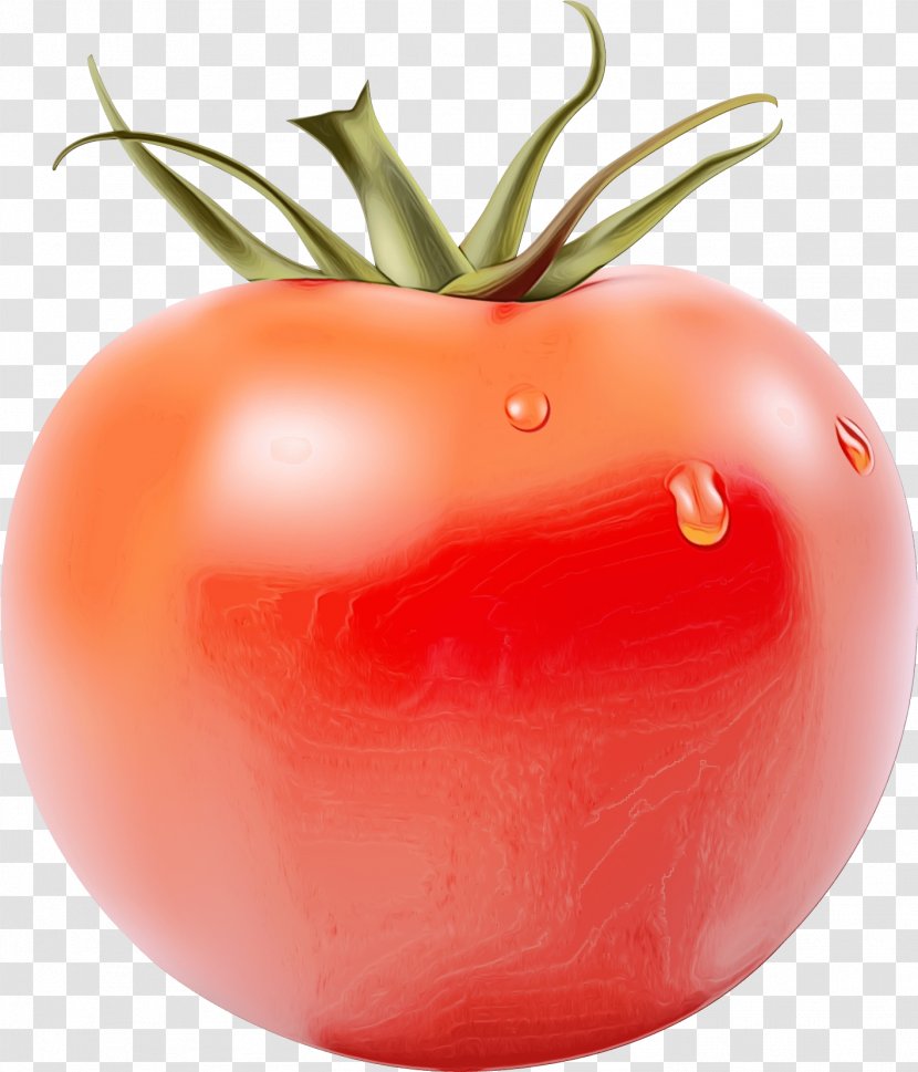 Tomato Cartoon - Tomatom - Bush Vegetarian Food Transparent PNG