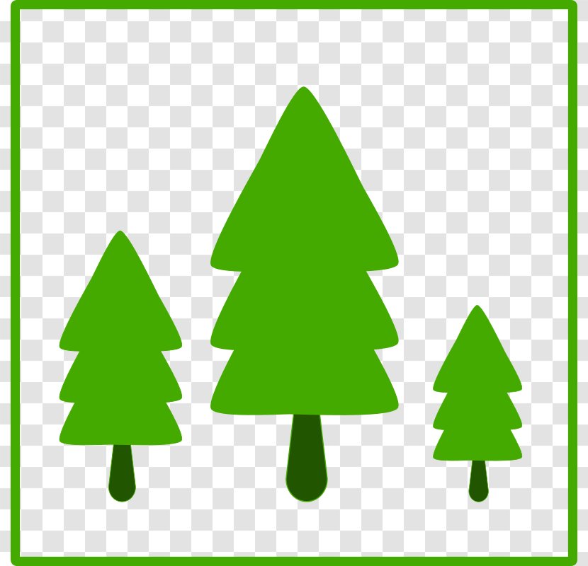 Tree Favicon Green Icon - Pine Family - Stump Clipart Transparent PNG