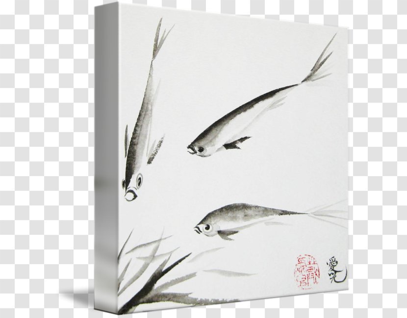 Feather Bird Beak Picture Frames Transparent PNG