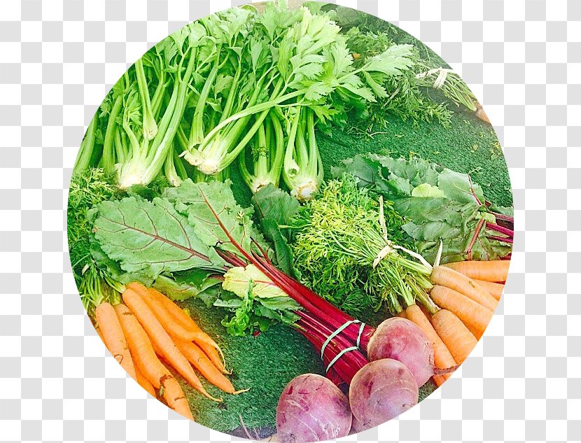 Mirepoix Vegetarian Cuisine Spring Greens Chard Rapini - Eat Your Vegetables Day Transparent PNG
