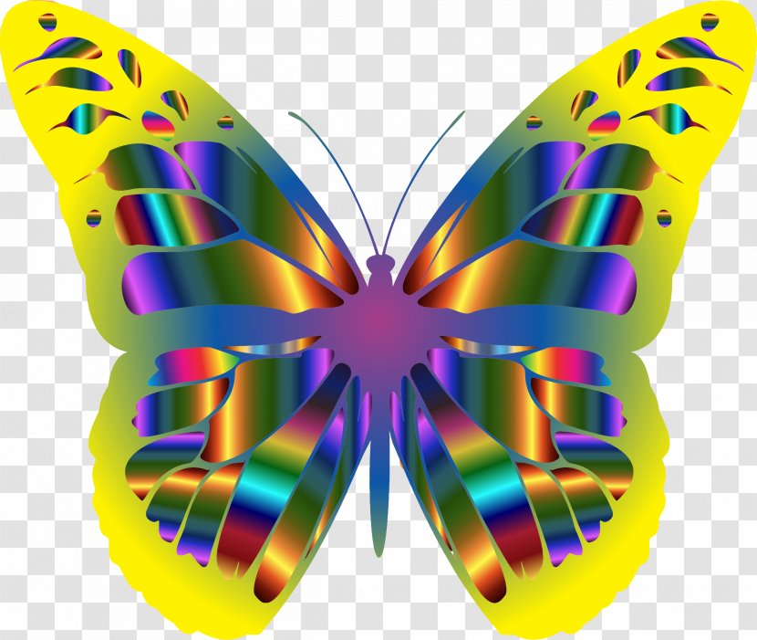 Monarch Butterfly Color Clip Art Transparent PNG