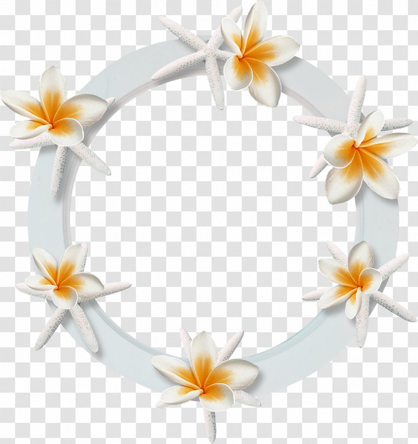 Flower Clip Art - Photography - 25 Transparent PNG