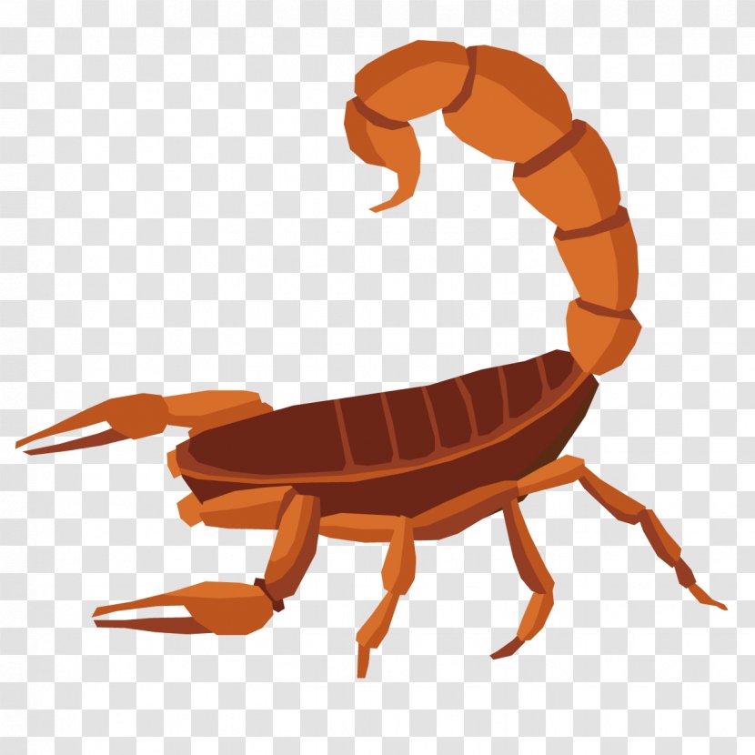 Scorpion Turtle Reptile - Cartoon Transparent PNG