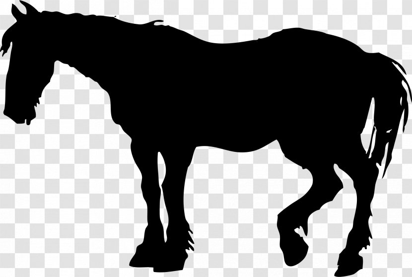 Mustang Foal Mare Silhouette - Monochrome Photography - Animal Silhouettes Transparent PNG