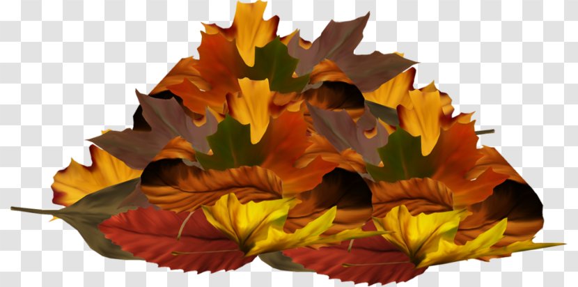 Clip Art Image Autumn - Plant Transparent PNG