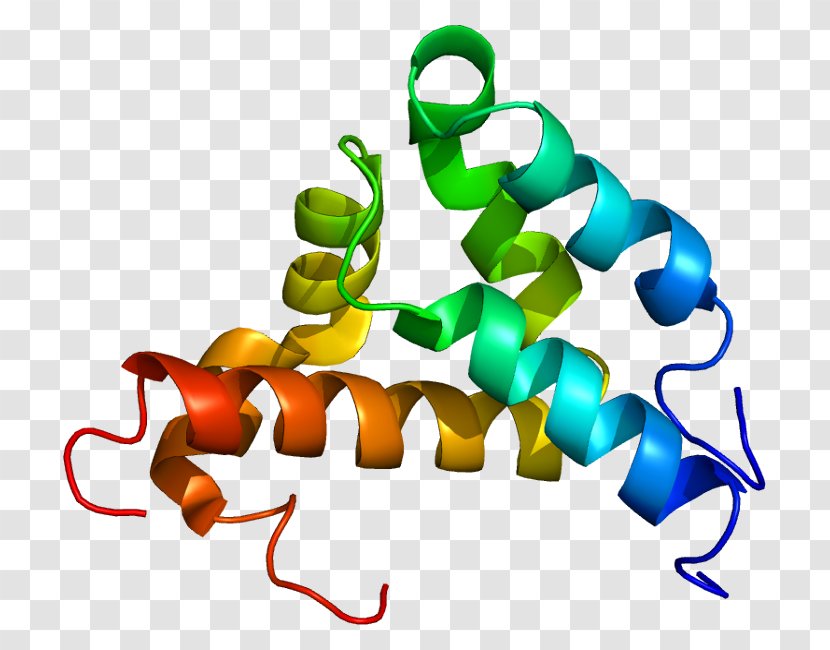Nuclear Receptor Coactivator 3 Histone Steroid Hormone - Gene Transparent PNG