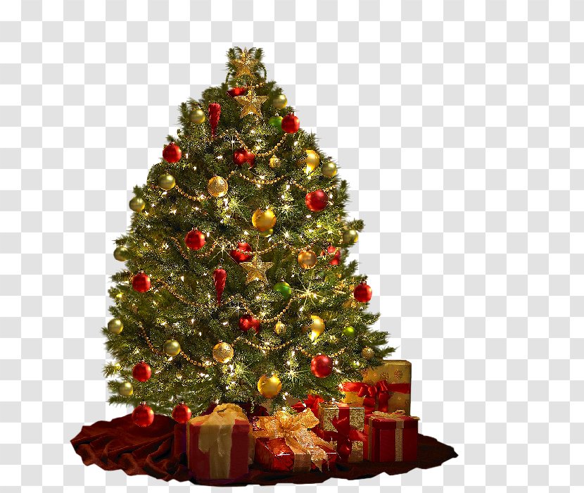Christmas Decoration Tree Ornament A Carol - Conifer - Leaves Transparent PNG