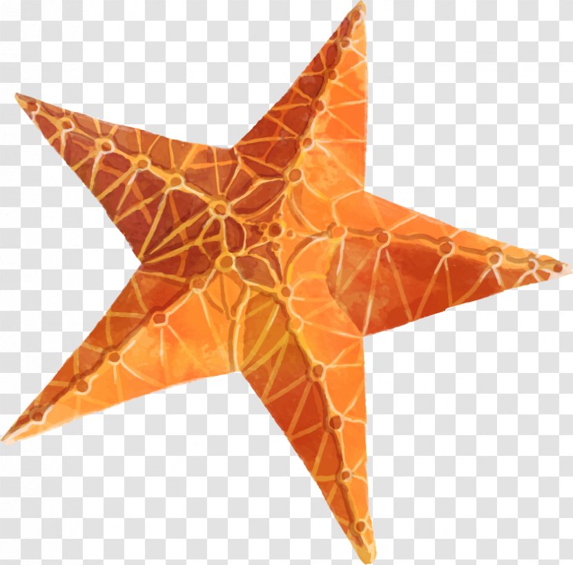 Starfish Star Polygons In Art And Culture Clip - Marine Invertebrates Transparent PNG