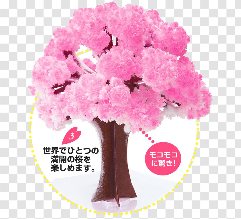 Cherry Blossom Japan Tree - Floral Design Transparent PNG