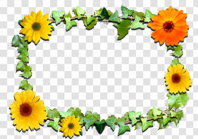 Picture Frames Flower Clip Art - Pink Flowers - Sunflower Leaf Transparent PNG