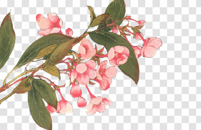 Image Illustration Bilibili Chinese Painting - Tree - Magnolia Transparent PNG