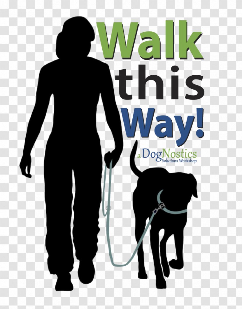 Bernese Mountain Dog Loose Leashes Training Walking - Pet - Highland Canine Tampa Clearwater Transparent PNG