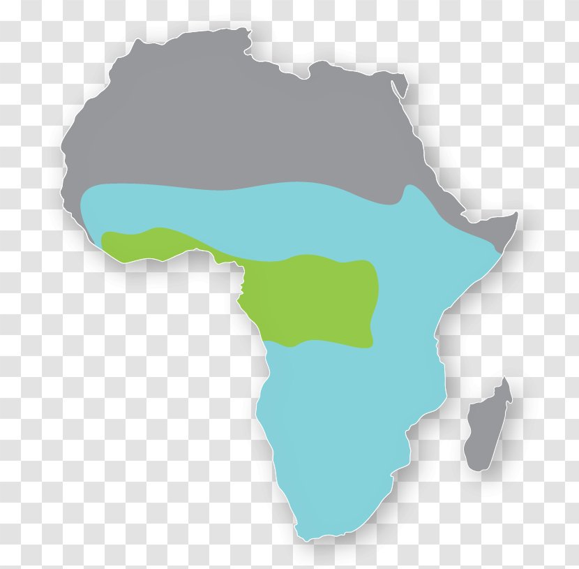Liberia World Map Mapa Polityczna - African Grasslands Transparent PNG
