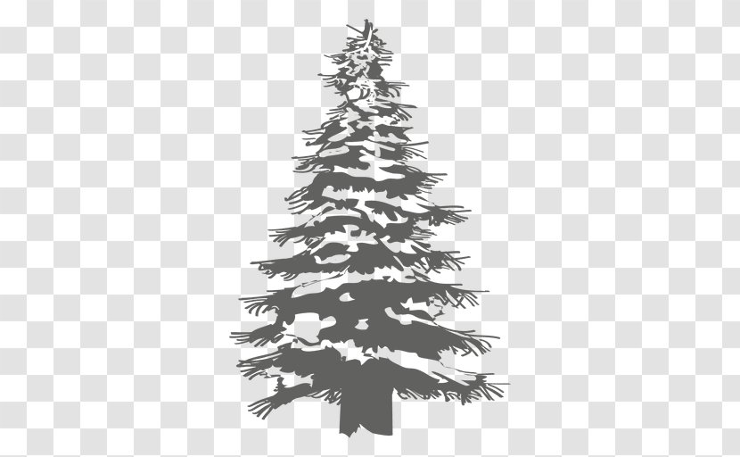 Christmas Tree Pine Fir - Decoration Transparent PNG