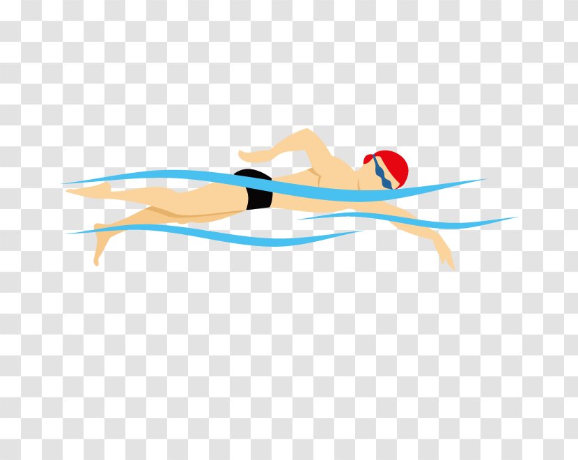 Swimming Euclidean Vector Illustration - Pixabay Transparent PNG