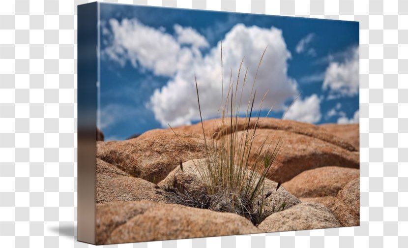 Desktop Wallpaper Ecoregion Stock Photography Computer - Desert Rocks Transparent PNG