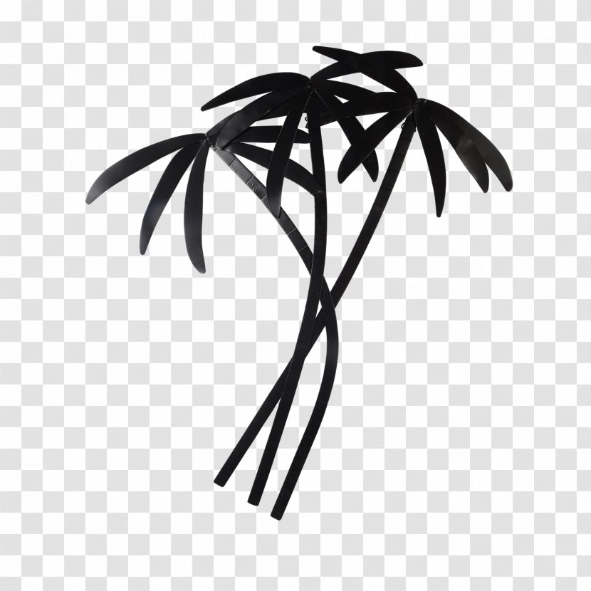 Palm Tree - Arecales - Flower Plant Stem Transparent PNG