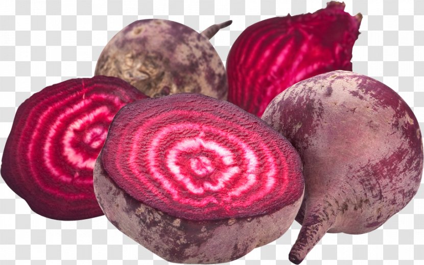 Common Beet Food Health Ingredient Vegetable Transparent PNG
