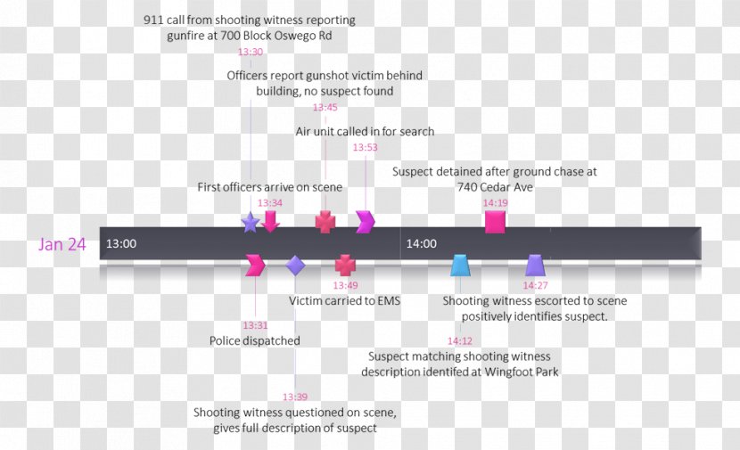 Template Timeline Microsoft Excel PowerPoint Infographic - Presentation - Tree Transparent PNG