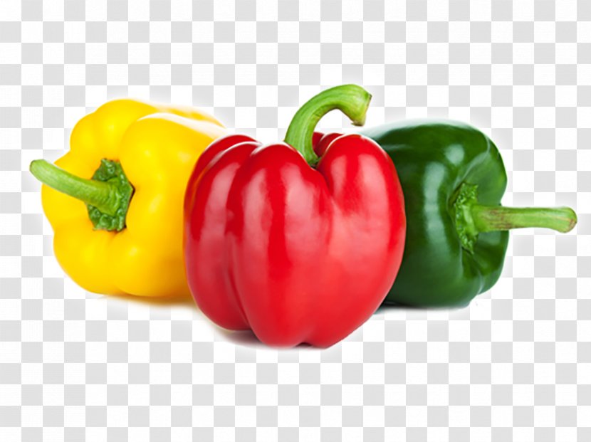 Stuffing Bell Pepper Vegetable Stuffed Peppers Nightshade - Tabasco Transparent PNG