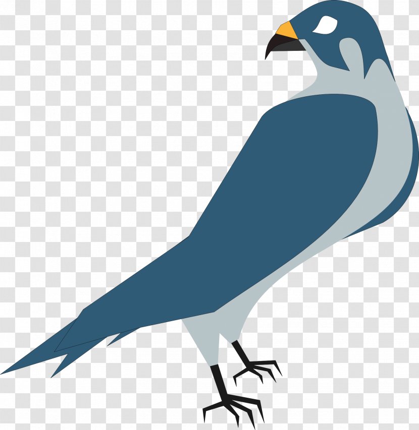 Hawk Eagle Clip Art - Falcon - Pigeon Transparent PNG