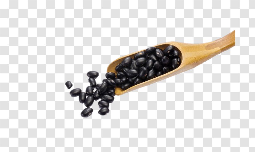 Black Turtle Bean Food - Bamboo With Beans Transparent PNG