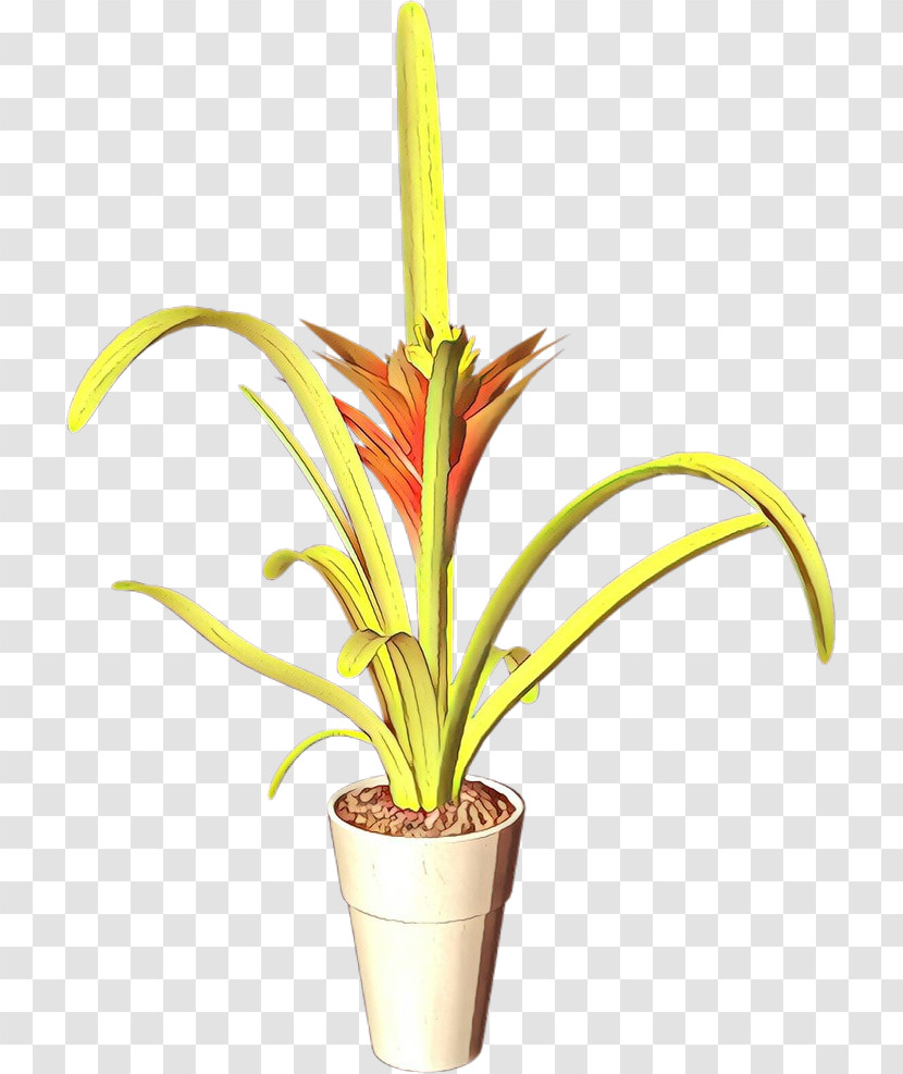Flower Flowerpot Houseplant Plant Terrestrial Plant Transparent PNG